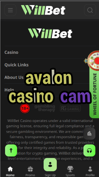 Avalon Casino Cam - Live Casino Webcam-casinogringos.casinoorder.vip